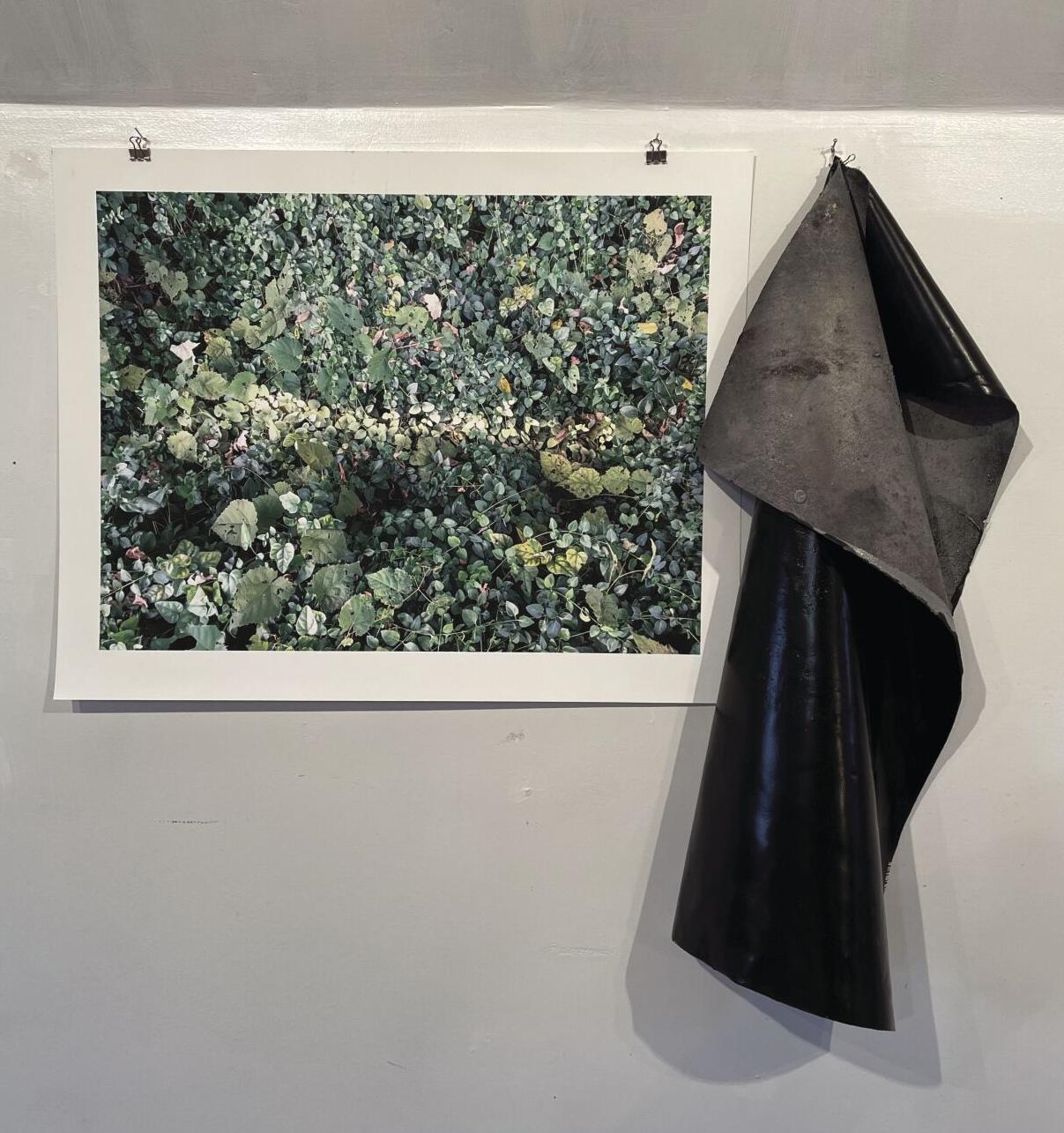 Lisa Bachman Jones, Threshold and Folded Floor.jpeg
